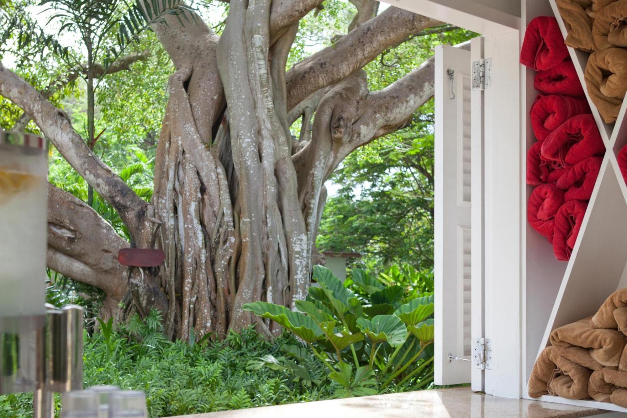 Hotel Colony Club, A Luxury Collection Resort, Barbados 4*